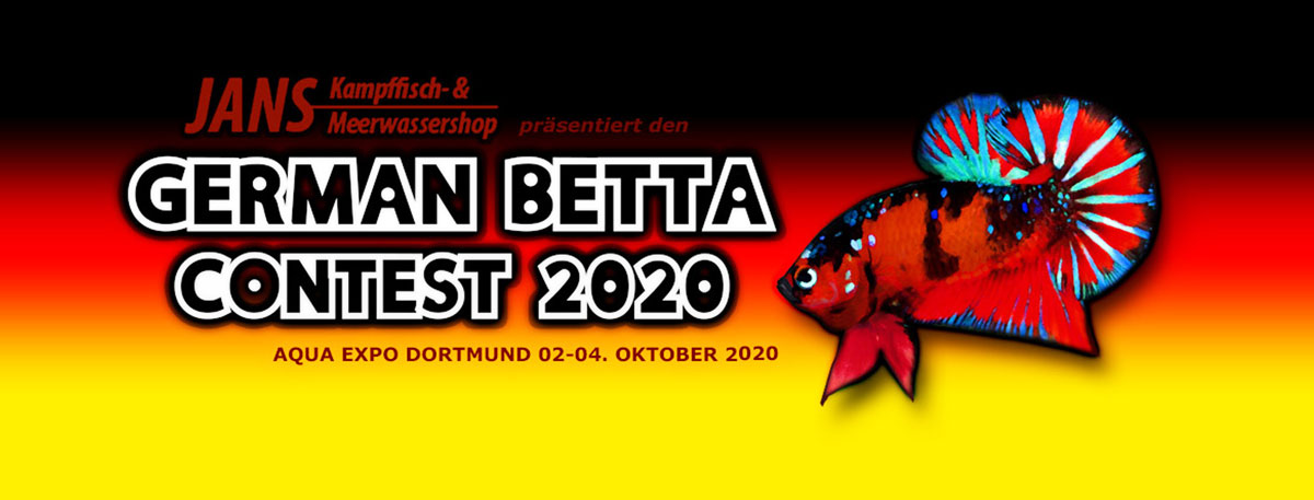 German Betta Contest